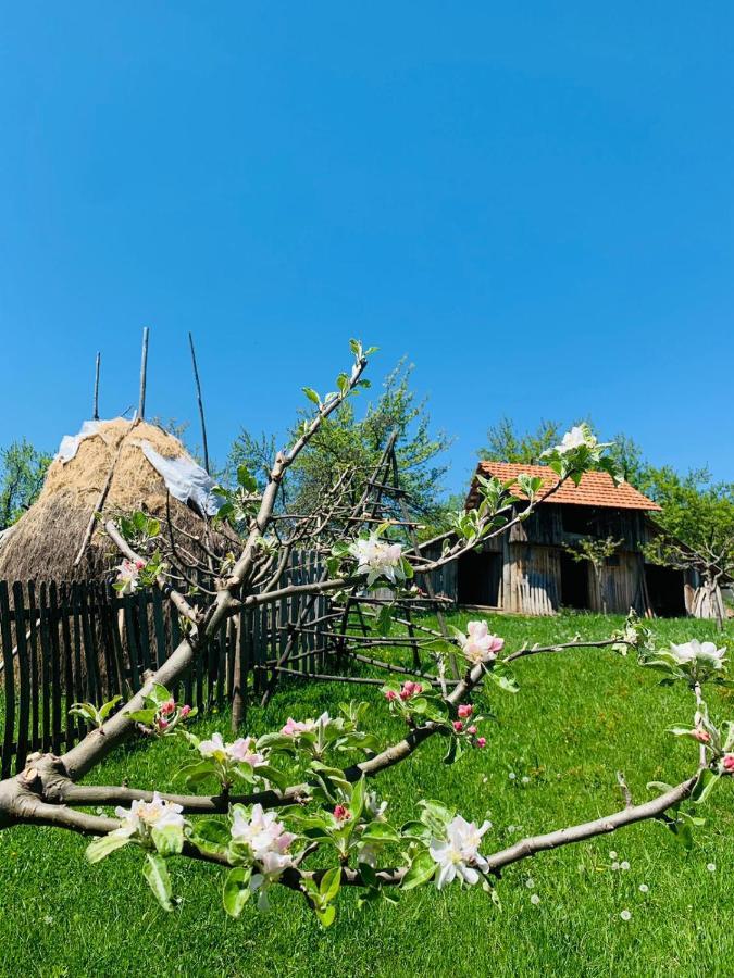 The Story Garden Hotel Corbi Eksteriør billede